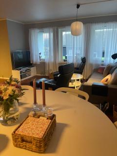 Bright & Spacious Apartment by the Sea, Free Parking, 10min to Airport, 12min to Ålesund - 6