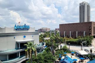 Texan Backyard Vibes l Cowboy Pool & BBQ l Pet-Friendly - Houston - 5