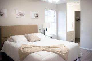 Heart of Austin 7mins Downtown with Spacious 2BR Apartment 1 Bath - Austin - 3