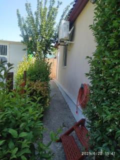 Elizabeth's cottage - Vergia - 7
