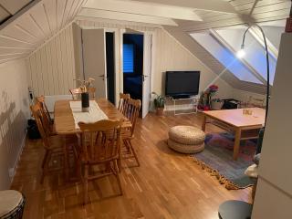 Koselig loftsleilighet - Notodden - 3