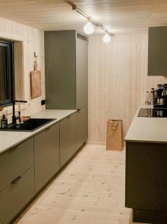New cabin central in Sirdal - Sinnes - 9