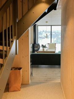 New cabin central in Sirdal - Sinnes - 7
