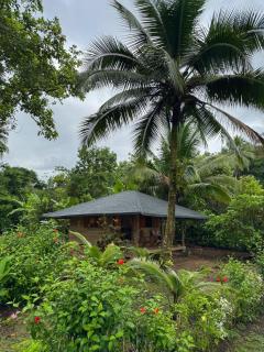 Madre Selva Eco Lodge - 8