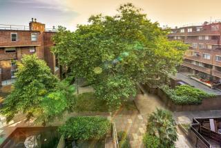 Charming Flat in Notting Hill - Londra - 6