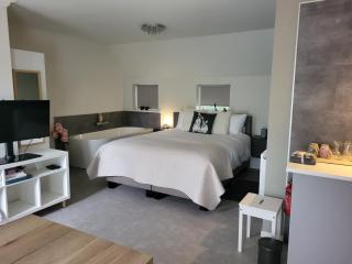 Dalerheugte Wellness B&B - Dalerveen - 3