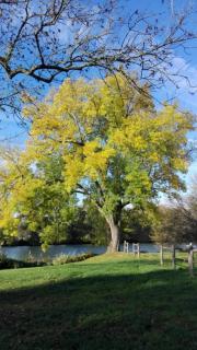 Au cocon des promenades - Pesmes - 5