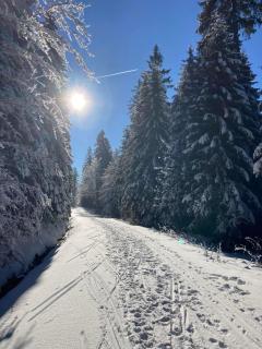 Aotearoa - Mountain apartment in Bavaria, Mitterdorf - Mitterfirmiansreut - 6