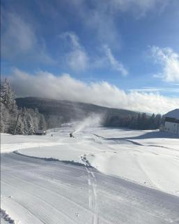 Aotearoa - Mountain apartment in Bavaria, Mitterdorf - Mitterfirmiansreut - 7