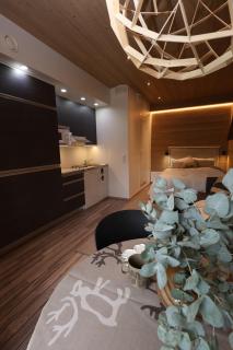 Beautiful studio by the slopes - 9