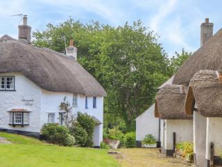 Little Gate Cottage - North Bovey - 9