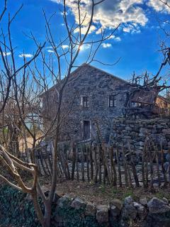 Mark Toma Guesthouse - - 0