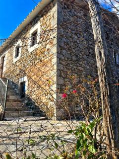 Mark Toma Guesthouse - - 7