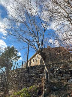 Mark Toma Guesthouse - - 6