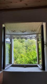Mark Toma Guesthouse - - 3