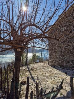 Mark Toma Guesthouse - - 1