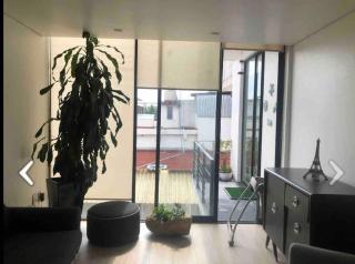 Hermoso departamento super ubicado colonia Anzures - Cedro - 0