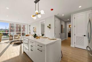 Bright 2Bed 2Bath in Brand New Pilsen Development - Chicago - 6