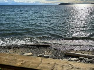 Sunset Suite - Beach Hideaway - Sechelt - 5