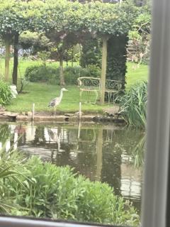 The Lake House Bungalow - Havering - 4