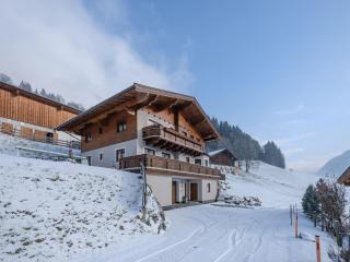 Bichl Viehofen - 9