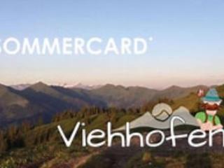 Bichl Viehofen - Saalbach Hinterglemm - 8