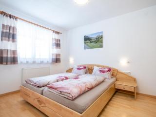 Bichl Viehofen - Saalbach Hinterglemm - 2