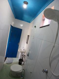 Vip Girassol - 2