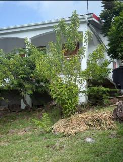 Les douceurs de la Baie Terre de Bas - 3