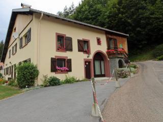 Gîte Authentique en Ferme Vosgienne, Nature et Confort près de Gérardmer - FR-1-589-211 - Liézey - 9