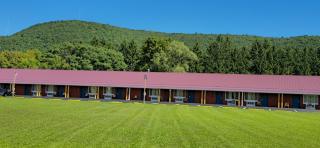 Mark Twain Motor Inn - Elmira - 3