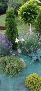 Domki pod lasem Gorce z kominkiem i jacuzzi - Ochotnica Dolna - 3