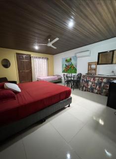 Casita Pelícano - Uvita - 3