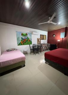 Casita Pelícano - Uvita - 7