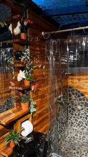 Ancestral habitad - 1