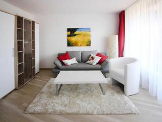 Apartment near Lake Constance and Alps, cleaning included - Immenstaad am Bodensee - 1