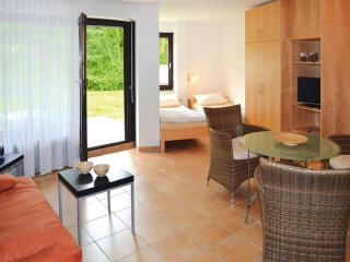 Apartment near Lake Constance and Alps, cleaning included - Immenstaad am Bodensee - 6