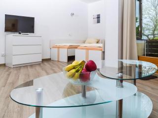 Apartment near Lake Constance and Alps, cleaning included - Immenstaad am Bodensee - 5