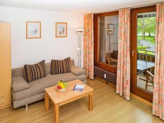 Apartment near Lake Constance and Alps, cleaning included - Immenstaad am Bodensee - 8