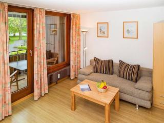 Apartment near Lake Constance and Alps, cleaning included - Immenstaad am Bodensee - 0