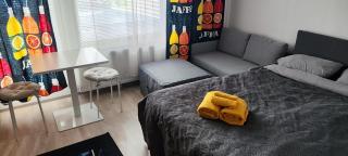 Modern studio near Airport with Self check-in - Vantaa - 0