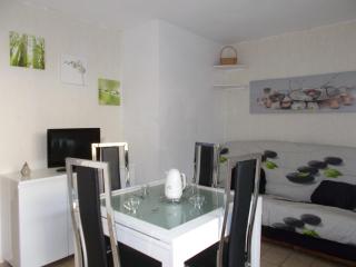 Appartement T2 avec Wifi, proche thermes et lac - FR-1-841-35 - Barbotan-les-Thermes - 0