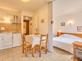 Appartement lumineux avec terrasse et climatisation, parking inclus - FR-1-841-6 - Barbotan-les-Thermes - 4