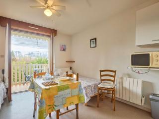 Studio lumineux avec balcon et Wi-Fi à Barbotan - FR-1-841-44 - Barbotan-les-Thermes - 8