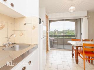 Charmant T2 lumineux avec balcon sud et animaux admis - FR-1-841-47 - Barbotan-les-Thermes - 5