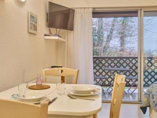 Appartement T1 lumineux, balcon sud, parking, WiFi - FR-1-841-9 - Barbotan-les-Thermes - 6