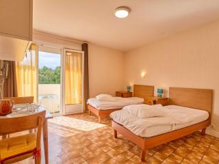 Studio lumineux avec balcon exposé sud pour 2 personnes - FR-1-841-46 - Barbotan-les-Thermes - 0