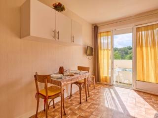 Studio lumineux avec balcon exposé sud pour 2 personnes - FR-1-841-46 - 4