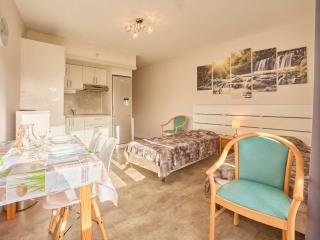 Studio lumineux avec balcon exposé sud à Barbotan - FR-1-841-31 - Barbotan-les-Thermes - 8