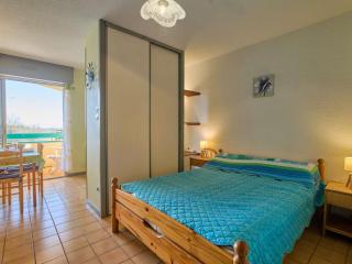 T1bis lumineux avec balcon sud et Wifi - FR-1-841-41 - Barbotan-les-Thermes - 5